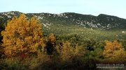 Cazevieille045.jpg