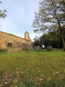 Cazevieille047.jpg