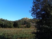 Aumelas009.jpg