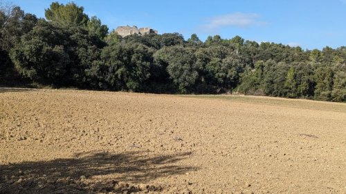 Cliquer pour voir l'image en taille réelle