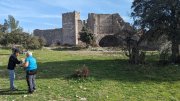 Montaud026.jpg
