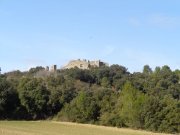 Montaud041.jpg