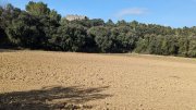 Montaud042.jpg