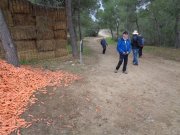 Triadou003.jpg