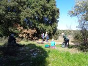 Agones003.jpg