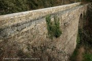 Vabres-Pie_Raou004.jpg