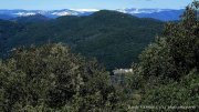 Vabres-Pie_Raou019.jpg