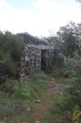 BalazucA035.jpg