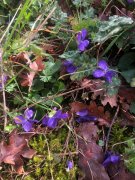 La_Beaume027B.jpg
