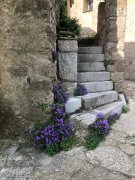 Peyre_Martine022.jpg