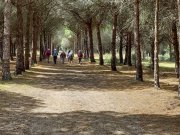 Grande_Motte006.jpg