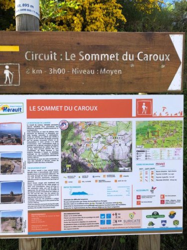 Cliquer pour voir l'image en taille réelle