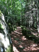 Camprieu037.jpg