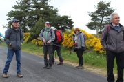 Samedi_Aubrac008.jpg