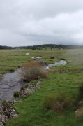 Samedi_Aubrac039.jpg