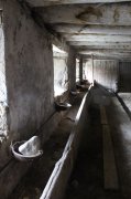 Samedi_Aubrac043.jpg