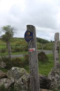 Samedi_Aubrac054.jpg