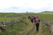Samedi_Aubrac055.jpg