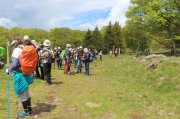 Dimanche-Aubrac042.jpg