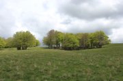 Dimanche-Aubrac043.jpg