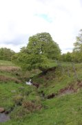 Dimanche-Aubrac051.jpg