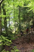 Dimanche-Aubrac061.jpg