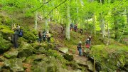 Dimanche-Aubrac068.jpg