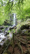 Dimanche-Aubrac070.jpg