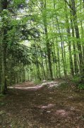 Dimanche-Aubrac080.jpg