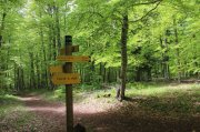 Dimanche-Aubrac081.jpg