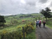 Aubrac-Lundi036.jpg