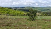 Aubrac-Lundi051.jpg