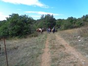 Blandas008.jpg