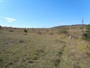 Blandas033.jpg
