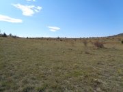 Blandas034.jpg