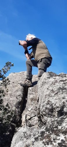 Cliquer pour voir l'image en taille réelle