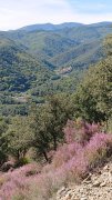 Pont_d_Herault011A.jpg