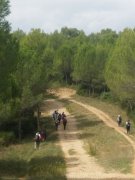 Baillarguet010.jpg