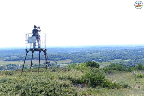 Cliquer pour voir l'image en taille réelle