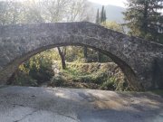 Arre006.jpg