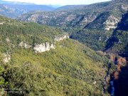 Grenouillet002.jpg