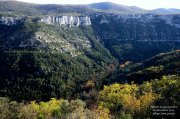 Grenouillet004.jpg