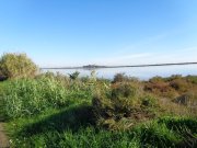 Villeneuve014.jpg