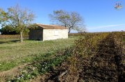 Villeneuve015.jpg
