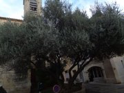St_Genies001.jpg