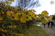 St_Genies016.jpg