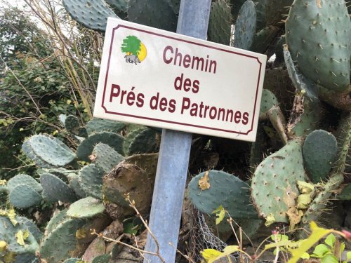 Cliquer pour voir l'image en taille réelle