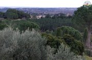 St_Georges019.jpg