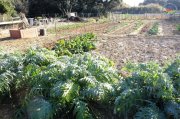 Sussargues002.jpg