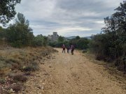 Montoulieu011.jpg